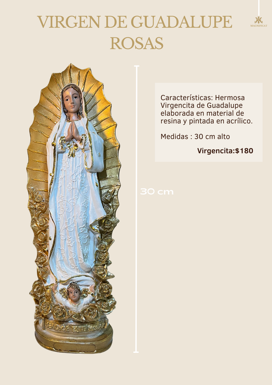 VIRGENCITA DE GUADALUPE BASE DE ROSAS